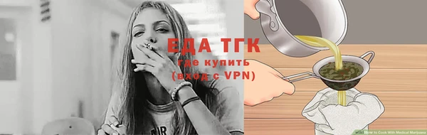 сатива Бородино