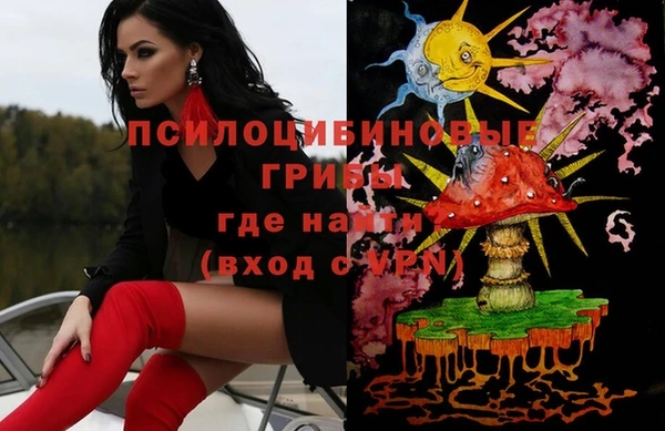 ПСИЛОЦИБИНОВЫЕ ГРИБЫ Белокуриха