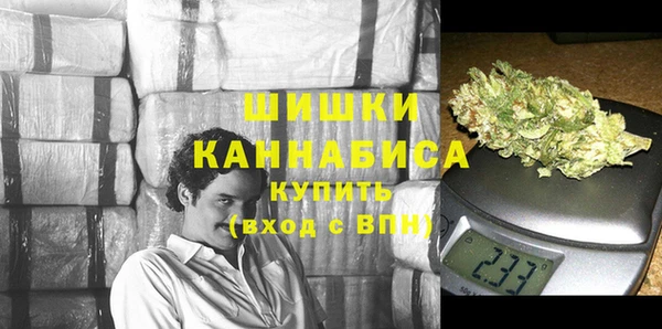 ПСИЛОЦИБИНОВЫЕ ГРИБЫ Белокуриха