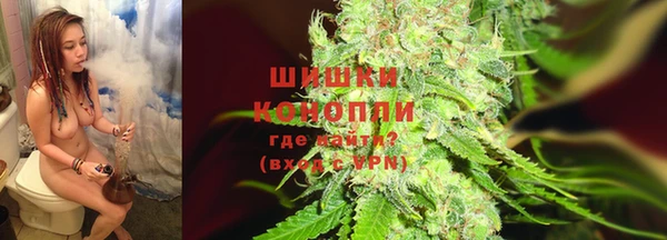 ПСИЛОЦИБИНОВЫЕ ГРИБЫ Белокуриха